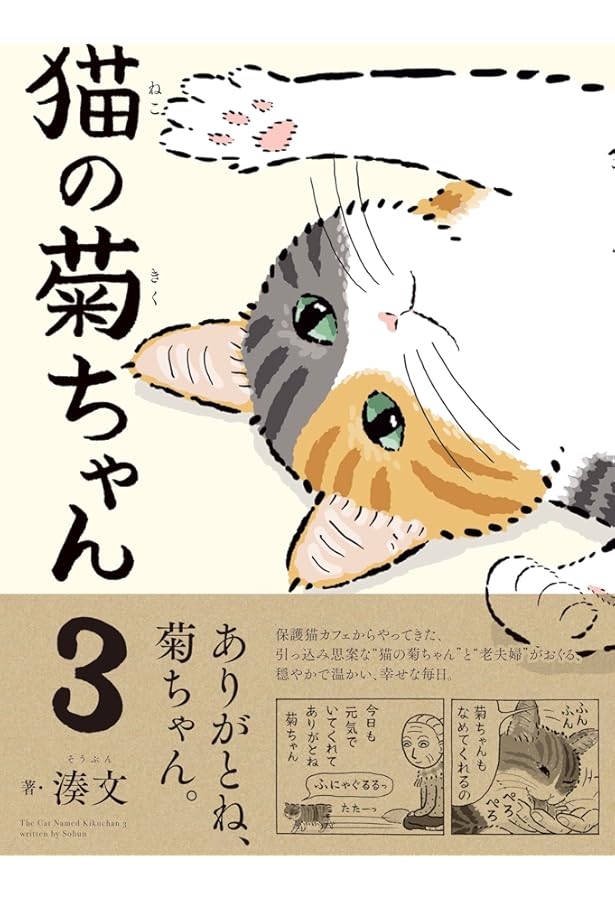 Amazon.co.jp: 猫の菊ちゃん : 湊文: 本